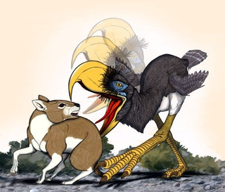 Illustration for article titled Ancient "terror birds" used their mega-beaks to stab prey